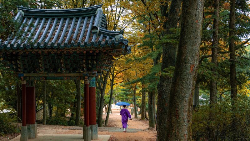 笔仙阁 延伸阅读：接下来可以看这几处